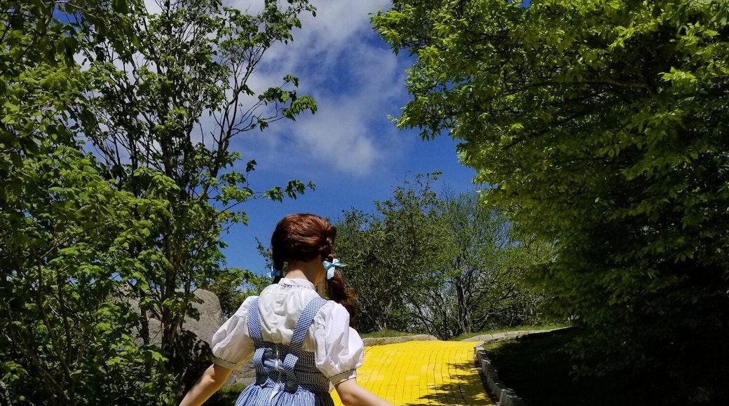 Ever wonder where the Land if Oz is? It is in Beech Mountain, N.C.! This former amusement park opens twice a year - in June for the Journey with Dorothy and in September for Autumn at Oz.
#landofoz
#Adventure
#yellowbrickroad
#amusementpark
#northcarolina
#LocalSecrets
#trovember