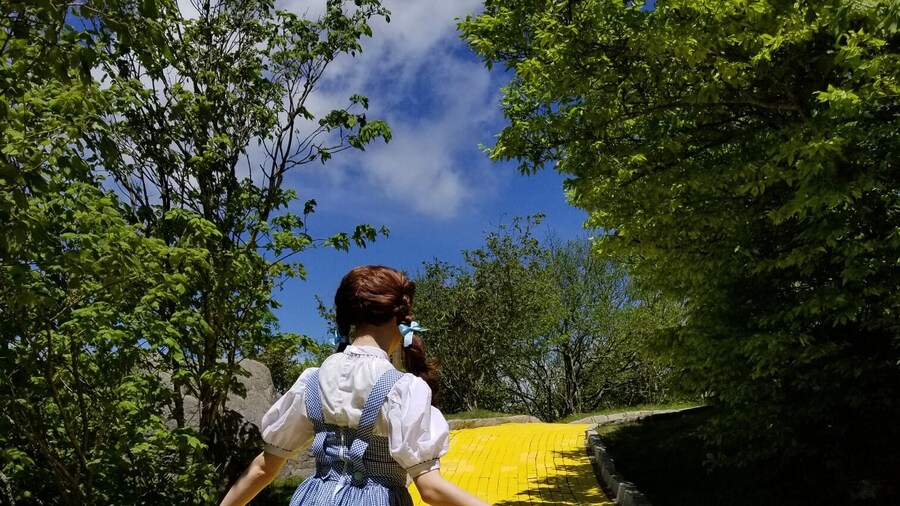 Ever wonder where the Land if Oz is? It is in Beech Mountain, N.C.! This former amusement park opens twice a year - in June for the Journey with Dorothy and in September for Autumn at Oz.
#landofoz
#Adventure
#yellowbrickroad
#amusementpark
#northcarolina
#LocalSecrets
#trovember