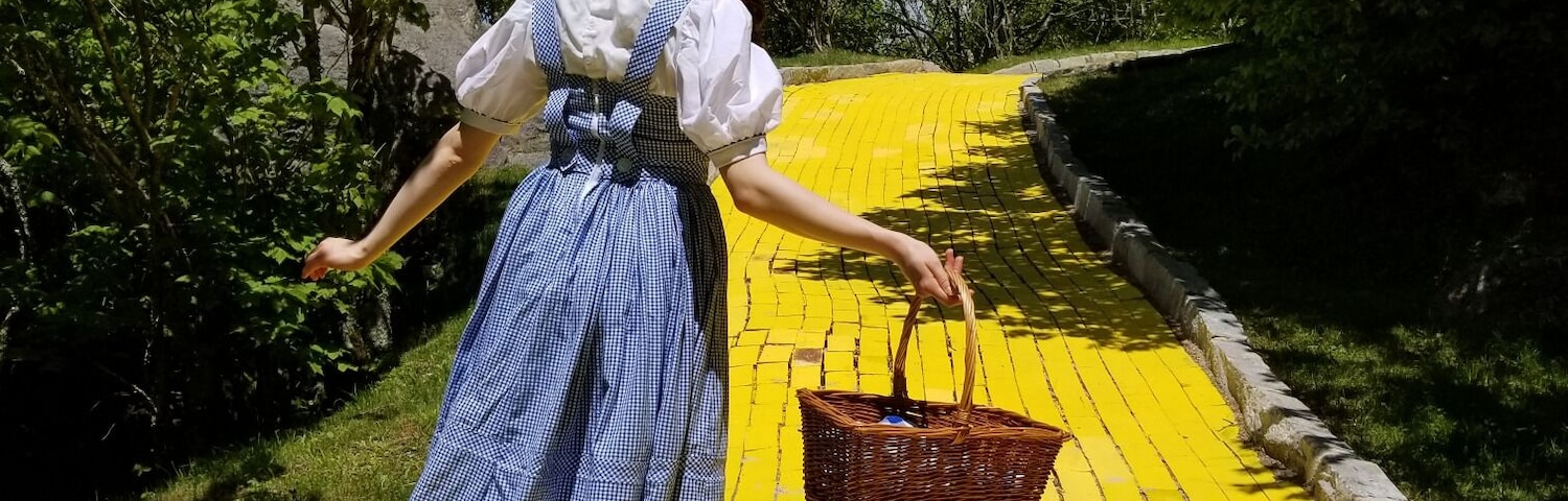 Ever wonder where the Land if Oz is? It is in Beech Mountain, N.C.! This former amusement park opens twice a year - in June for the Journey with Dorothy and in September for Autumn at Oz. 
#landofoz
#Adventure
#yellowbrickroad
#amusementpark
#northcarolina
#LocalSecrets
#trovember