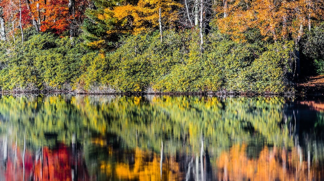 julian price lake and granfather mountain autumn season
