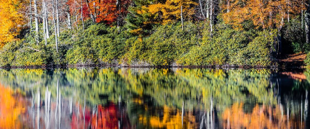 julian price lake and granfather mountain autumn season