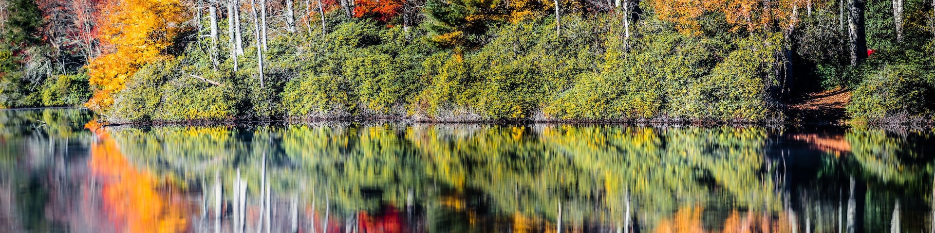 A lake surrounded by trees with autumn foliage, reflecting the colors of the leaves.
