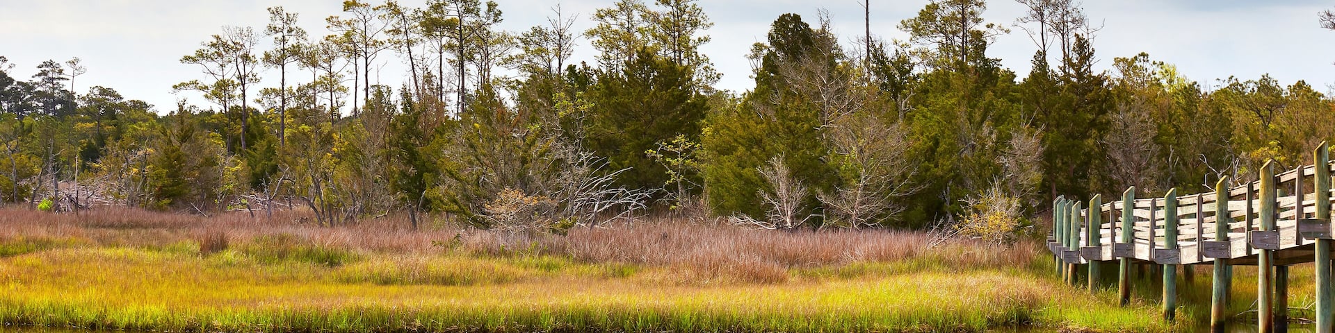 Early spring scene along the Cedar Point Tideland Trail, located near Emerald Isle, North Carolina