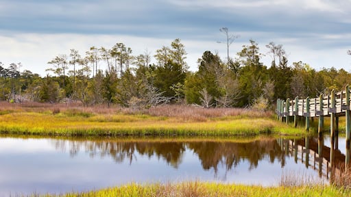 Early spring scene along the Cedar Point Tideland Trail, located near Emerald Isle, North Carolina