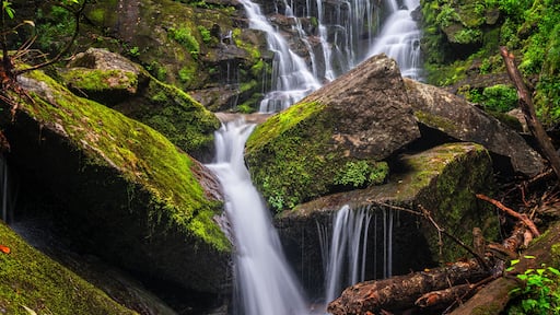 North Carolina Waterfall near Rosman and Brevard - Eastatoe Falls