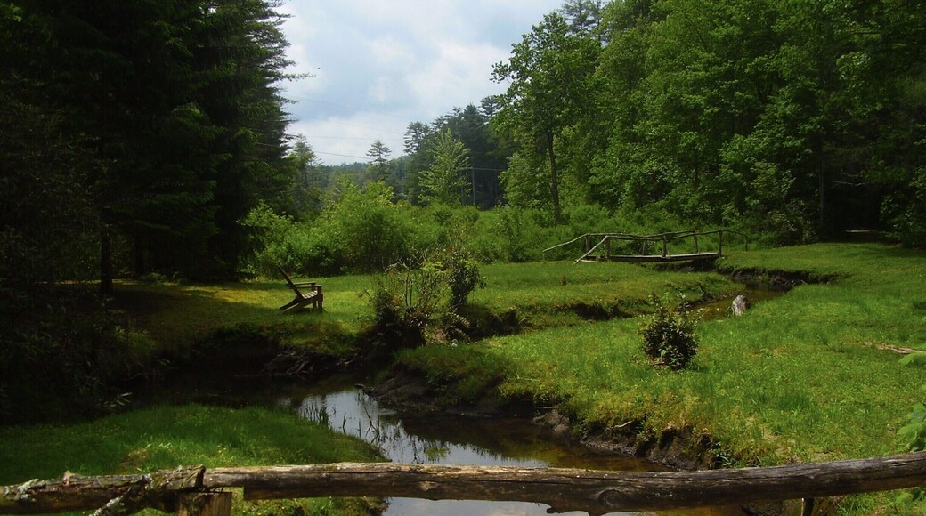 Taking a walk through High Hampton Inn and Country Club on the way to Rock Mountain.