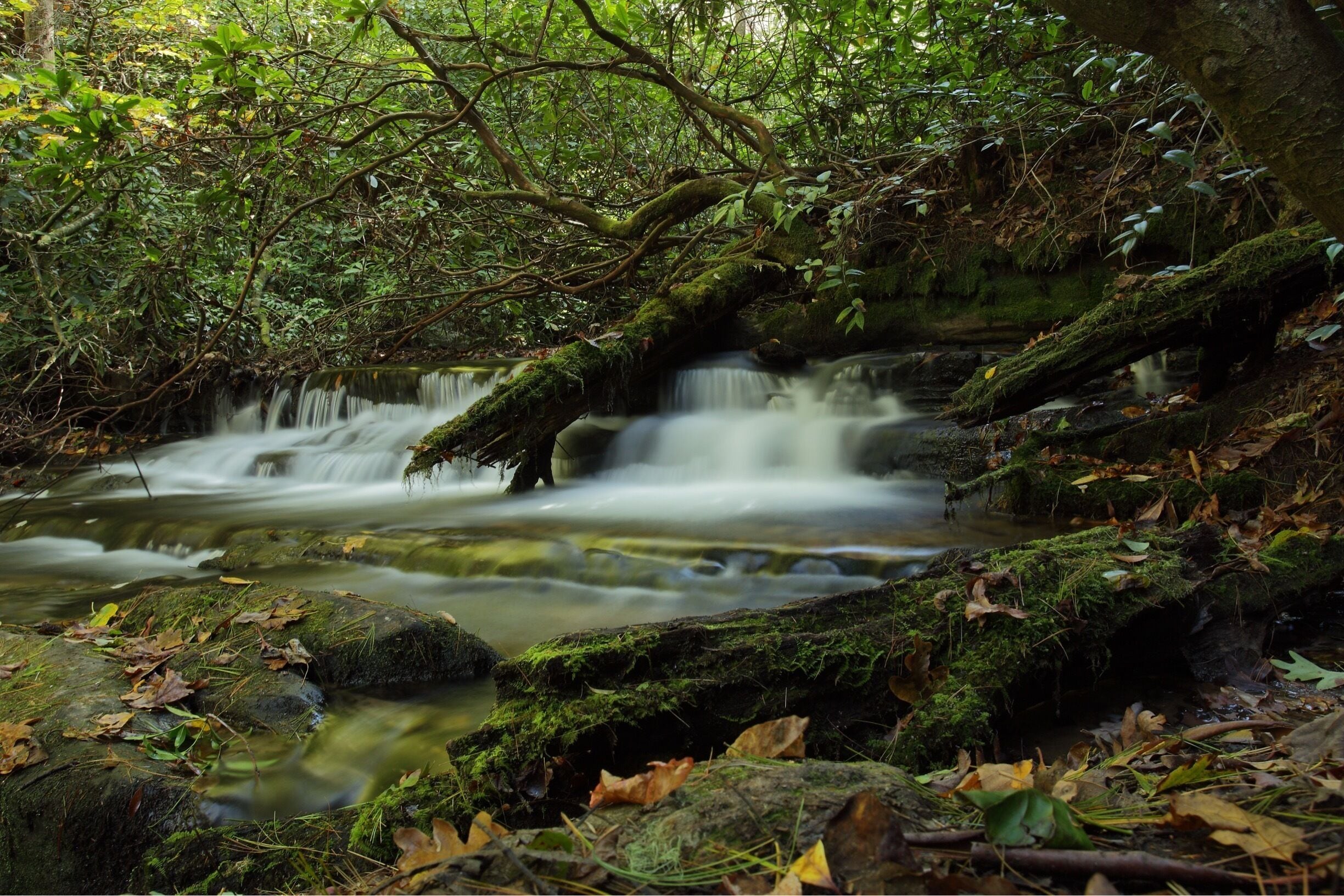 Panthertown a great place for hiking.
