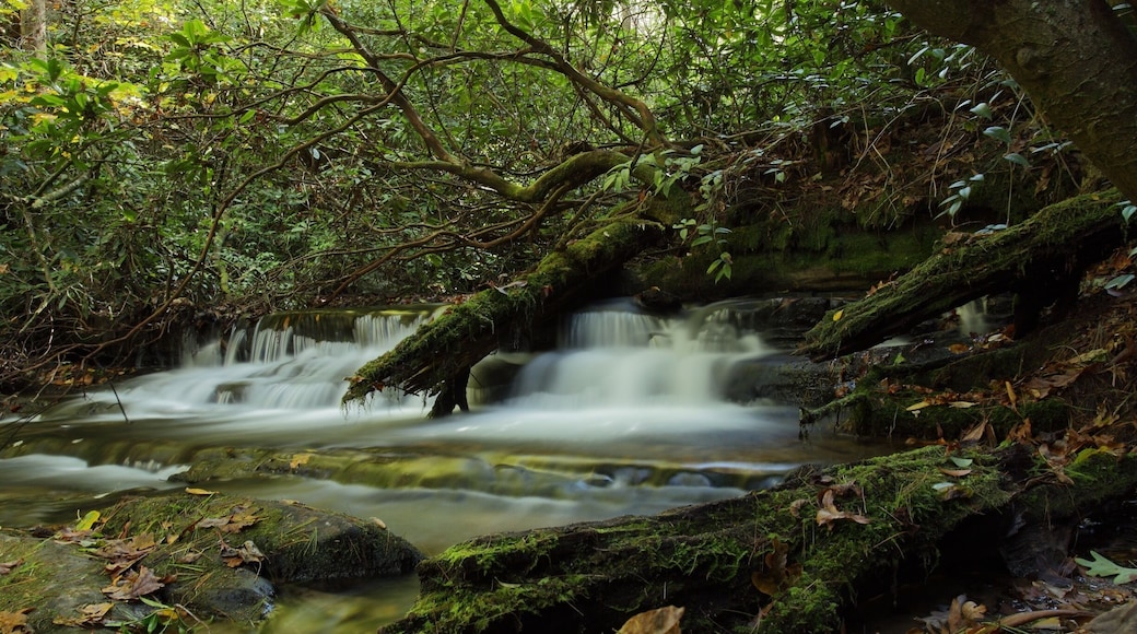 Panthertown a great place for hiking.