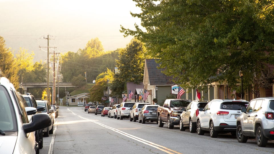 A street lined with parked cars and American flags, with buildings and trees in the background.