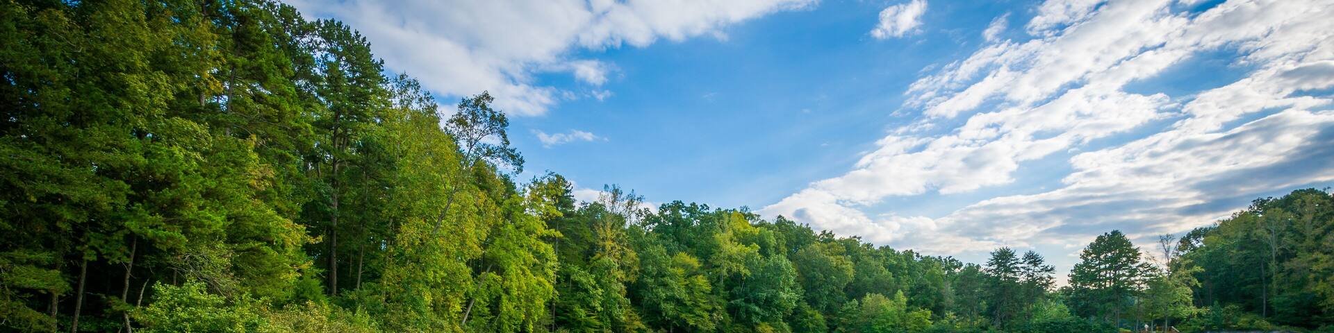 Bench on the shore of Lake Norman, at Lake Norman State Park, No
