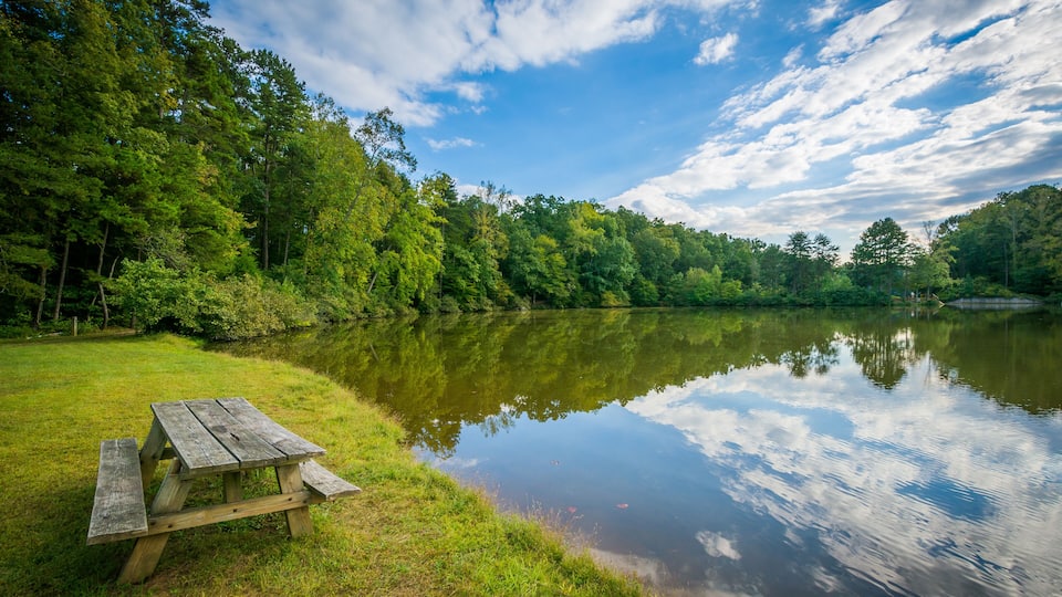 A wooden picnic table by a calm lake surrounded by dense trees under a partly cloudy sky.