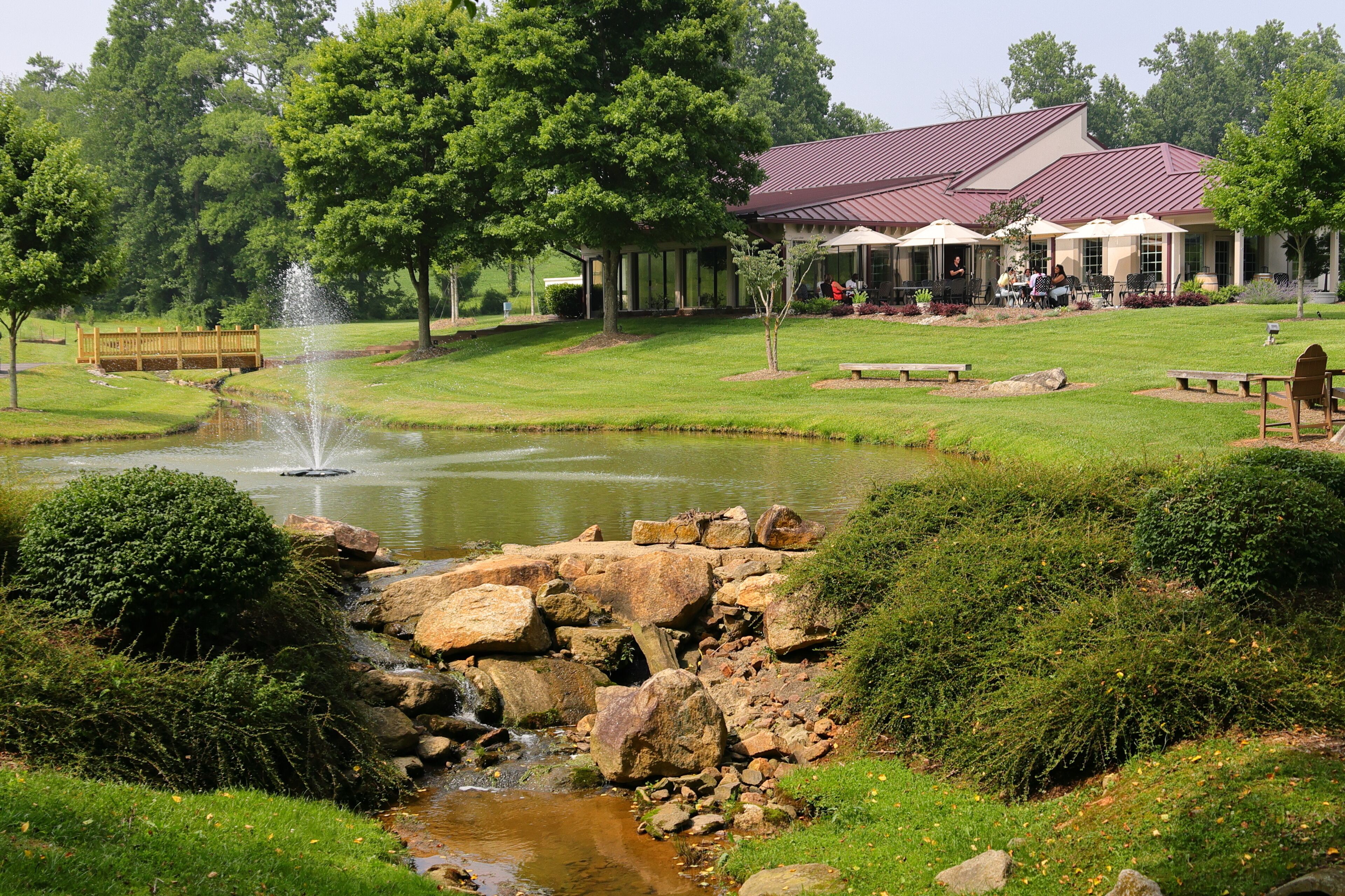 Picturesque scene of pond at Shelton Vineyards, Dobson, NC. 