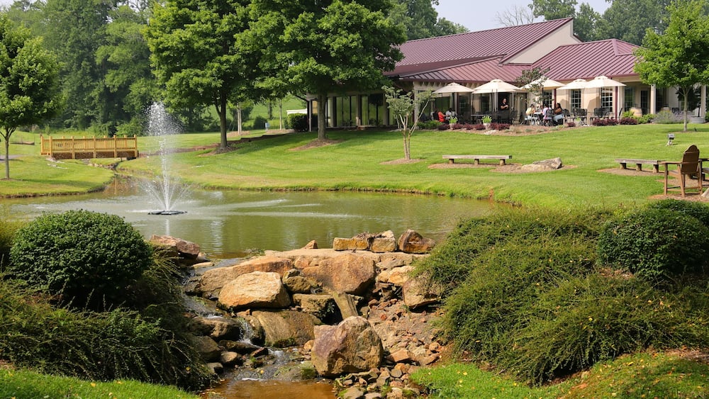 A pond with a fountain, surrounded by rocks and greenery, with a building and outdoor seating area in the background.