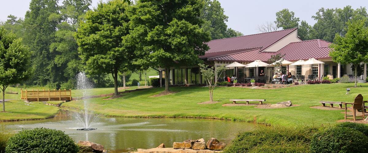 Picturesque scene of pond at Shelton Vineyards, Dobson, NC.