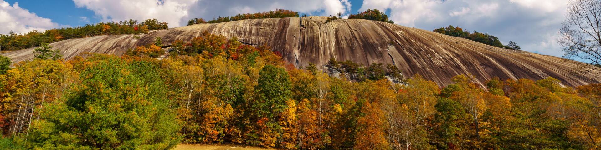 A large rock formation with autumn foliage, a clear sky, and a grassy foreground.