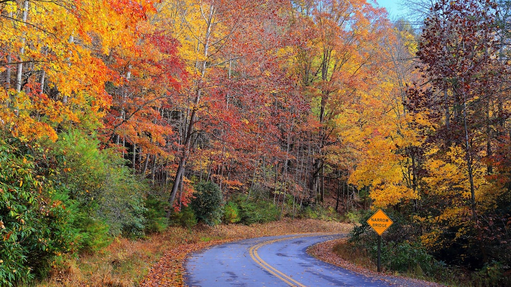 Autumn colors at Stone Mountain State Park, located in the Blue Ridge mountains near Roaring Gap, North Carolina
