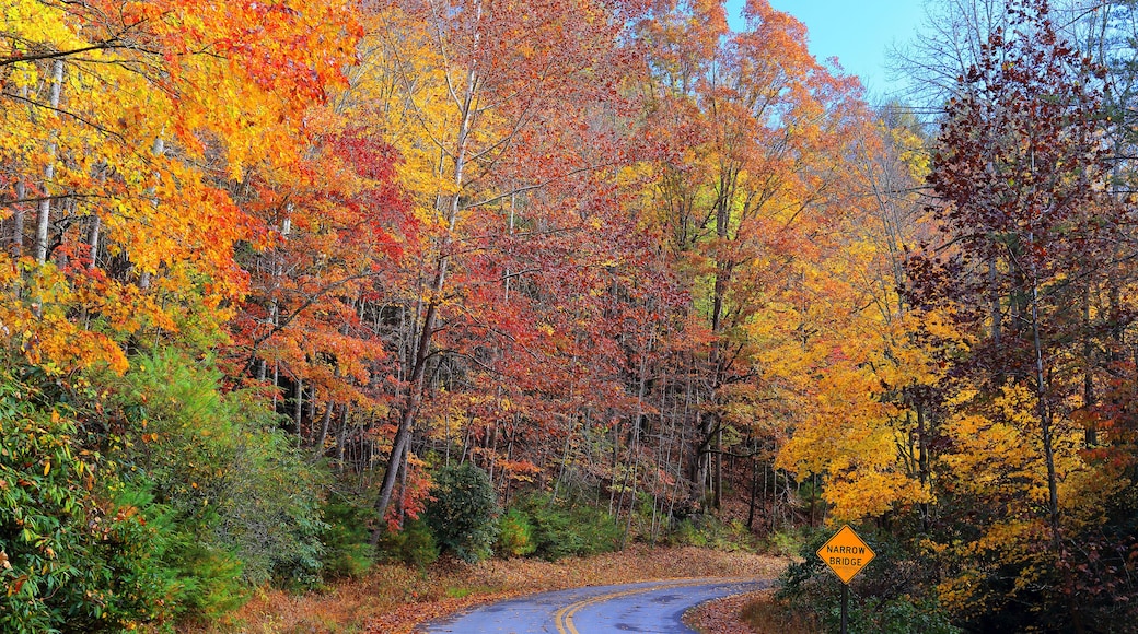 Autumn colors at Stone Mountain State Park, located in the Blue Ridge mountains near Roaring Gap, North Carolina