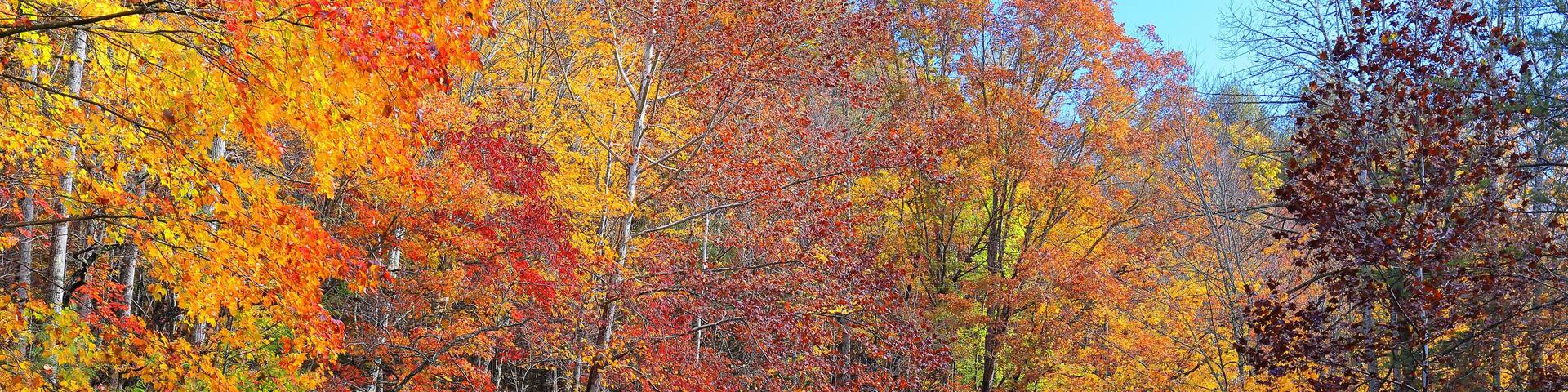 Autumn colors at Stone Mountain State Park, located in the Blue Ridge mountains near Roaring Gap, North Carolina