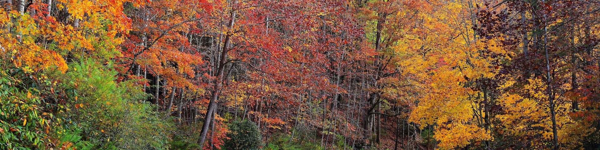 Autumn colors at Stone Mountain State Park, located in the Blue Ridge mountains near Roaring Gap, North Carolina