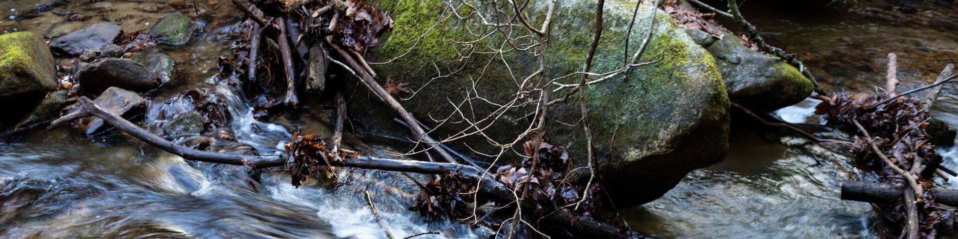 Rushing Stream near Stone Mountain, North Carolina