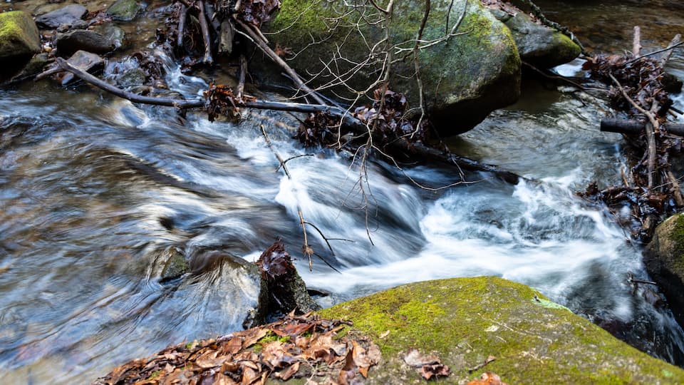 A flowing stream with rocks and fallen leaves.