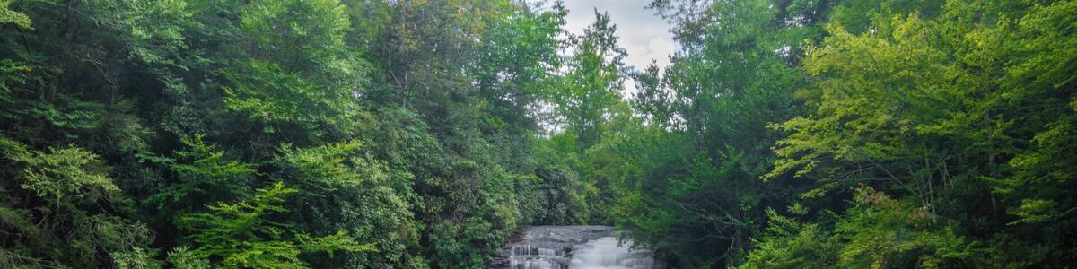 The short but beautiful Schoolhouse Falls in the Panthertown Valley area of the Nantahala National Forest. It is a very pristine area of the forest.
For a video guide of the hike to this spot, please visit: https://www.hdcarolina.com/episode/schoolhouse-falls