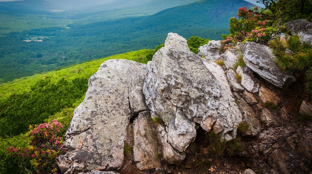 View of the Ridge and Valley Appalachians from Tibbet Knob, in G