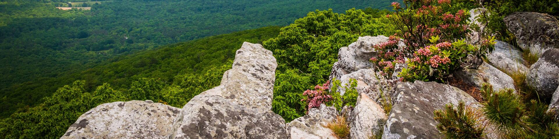 View of the Ridge and Valley Appalachians from Tibbet Knob, in G