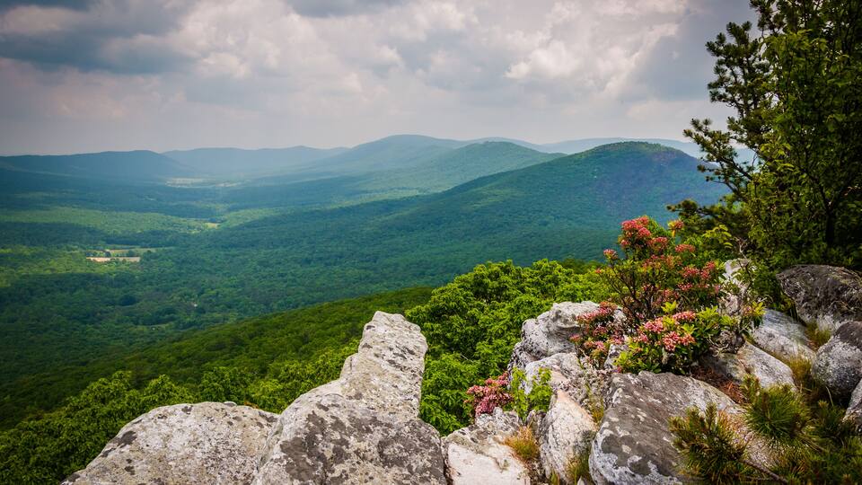 View of the Ridge and Valley Appalachians from Tibbet Knob, in G