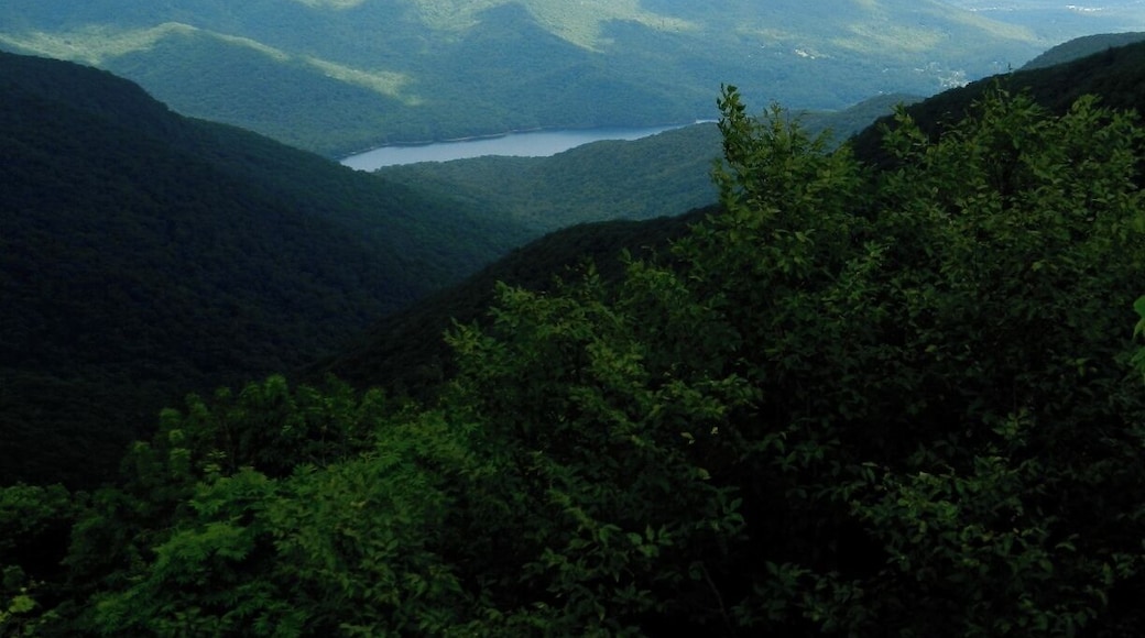 View from the Blue Ridge Parkway taken during our road trip. #parks