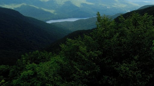 View from the Blue Ridge Parkway taken during our road trip. #parks
