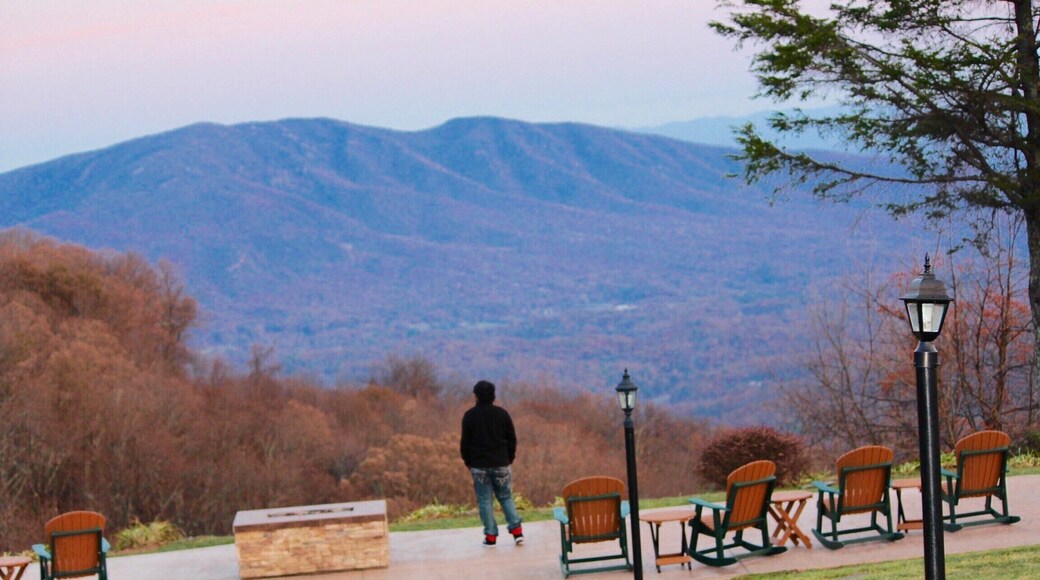 If you truly love nature, you will find beauty everywhere. #LittleSwitzerland #Village #NorthCarolina #Travel #Mountains #Scenery #Adventure