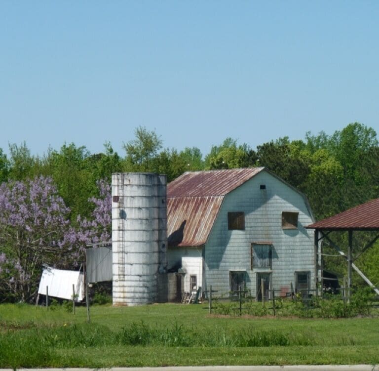 An old barn with a silo, surrounded by green fields and trees.