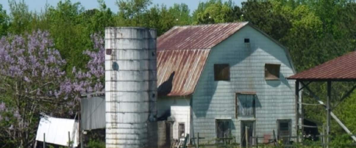 An old barn with a silo, surrounded by green fields and trees.