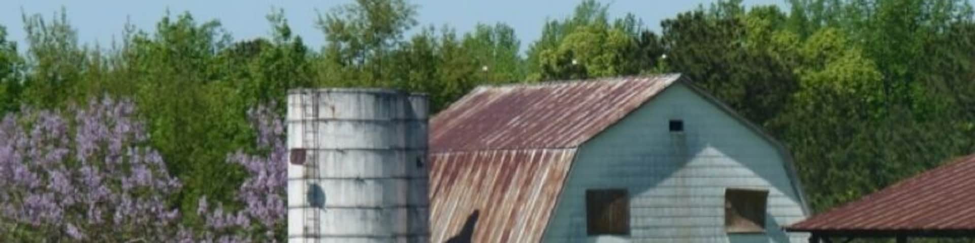 An old barn with a silo, surrounded by green fields and trees.