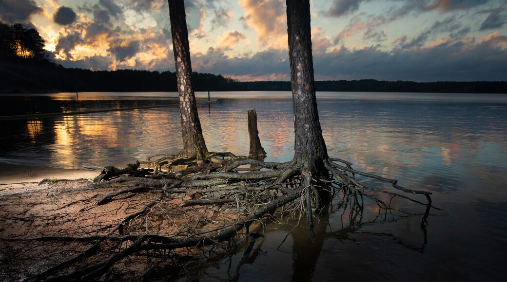 Sun setting on Jordan Lake