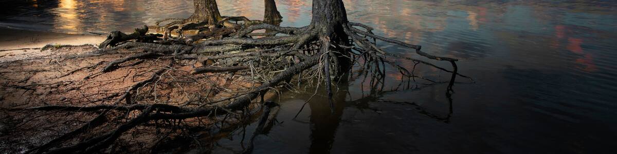 Sun setting on Jordan Lake