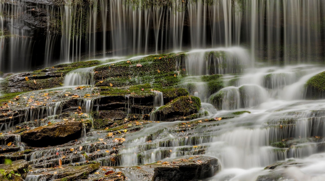 A waterfall cascading over moss-covered rocks with a forested background.