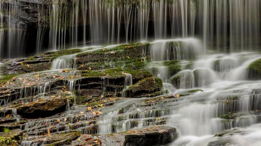 Una cascada se precipita sobre rocas cubiertas de musgo, con un bosque al fondo.