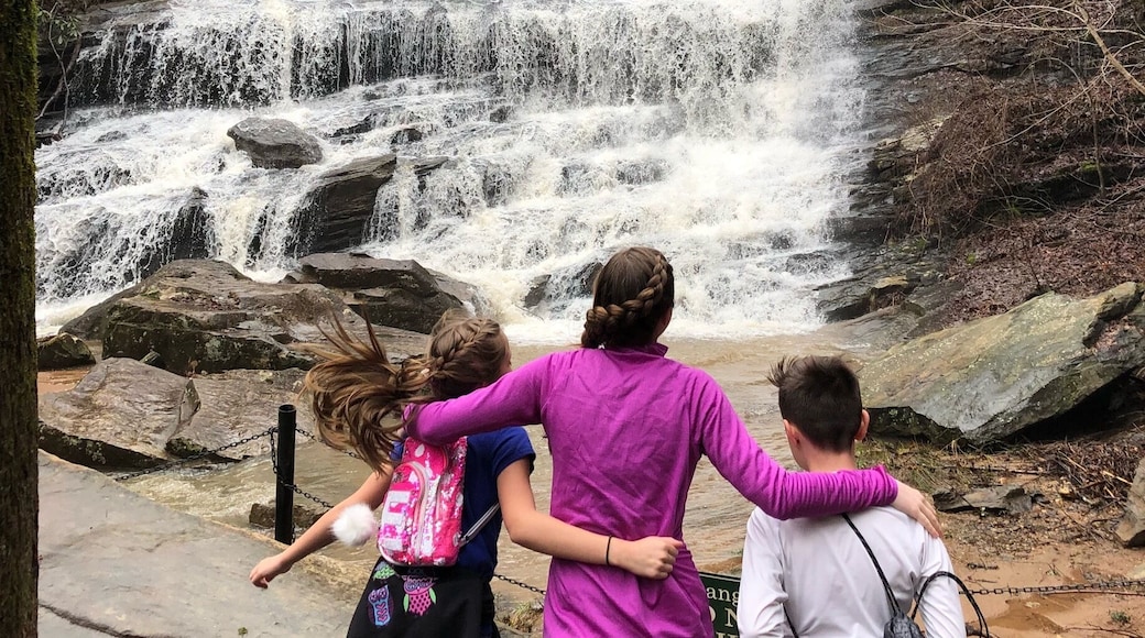 Visit Frugal Family Travelers blog to learn more about this great location, to receive the travel itinerary and to discover more great places like this:
North Carolina Waterfalls - Pearsons Falls
http://frugalfamilytravelers.blogspot.com/2018/02/8-tranquil-spots-not-to-miss-in-north.html
Follow us on:
Facebook: https://www.facebook.com/frugalfamilytravelers
Twitter: @FrugalFamTrav