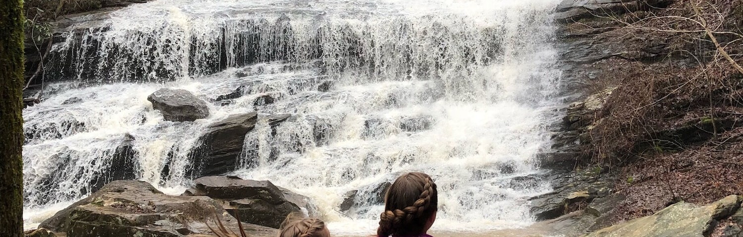 Visit Frugal Family Travelers blog to learn more about this great location, to receive the travel itinerary and to discover more great places like this:
North Carolina Waterfalls - Pearsons Falls
http://frugalfamilytravelers.blogspot.com/2018/02/8-tranquil-spots-not-to-miss-in-north.html
Follow us on:
Facebook: https://www.facebook.com/frugalfamilytravelers
Twitter: @FrugalFamTrav