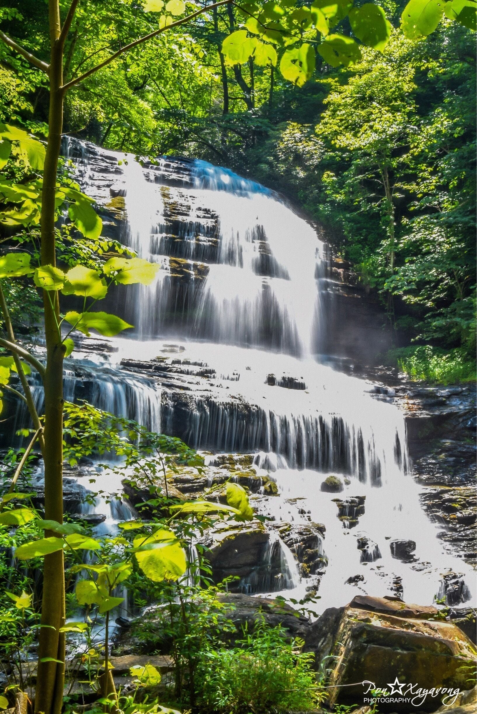 Unlike most waterfalls in the North Carolina mountains, this one is privately own so you need to enjoy during their operating hours! No pets allowed.
Pearson's Falls is a gorgeous 90-foot tall waterfall that cascades down layers of rock. 