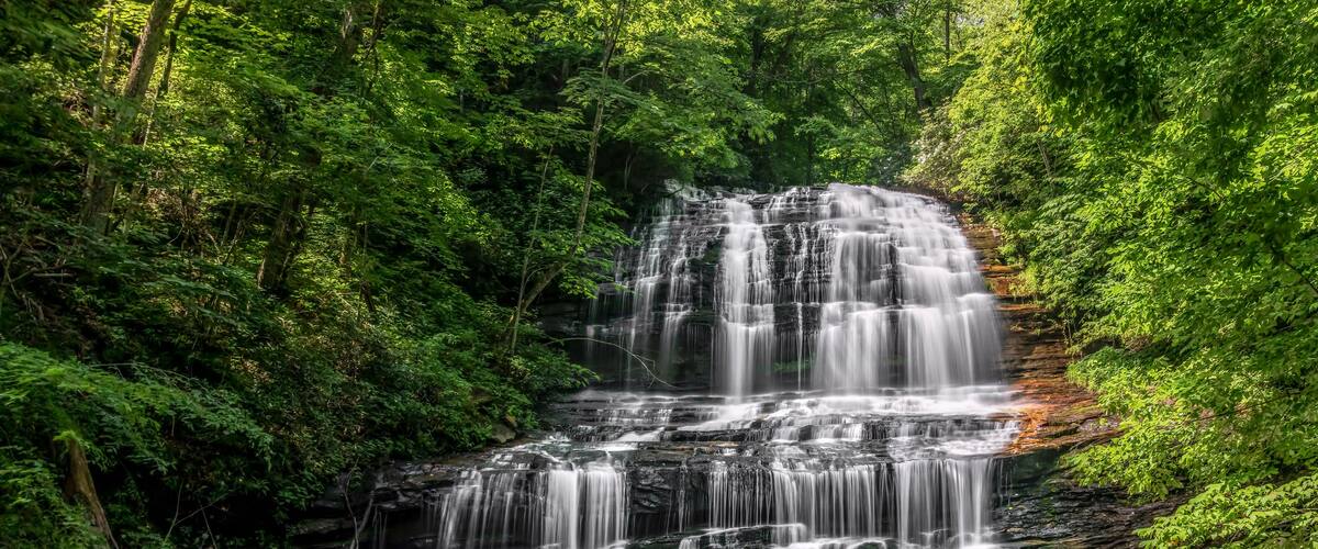 Pearsons Falls - Pearson's Falls is a beautiful 90 foot waterfall on Colt Creek in the foothills of Western North Carolina between Tryon and Saluda.
