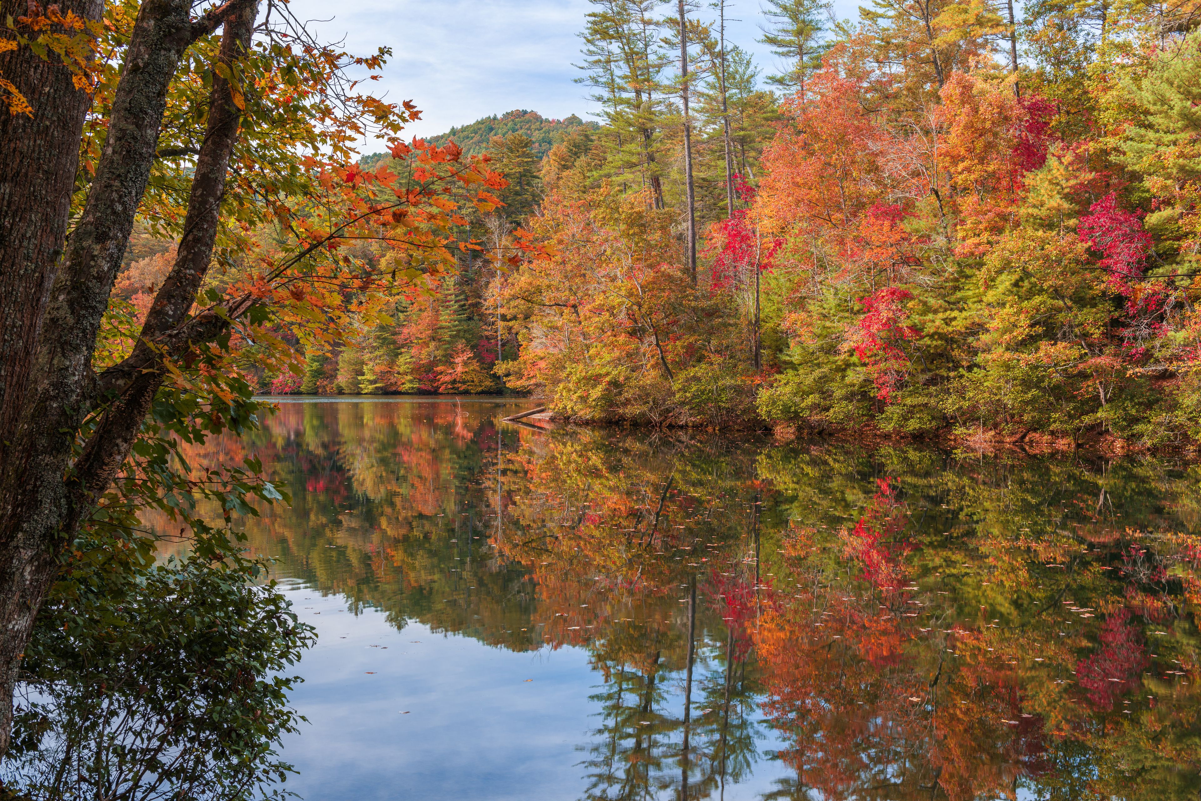 Ein ruhiger See, umgeben von Bäumen in Herbstfarben.