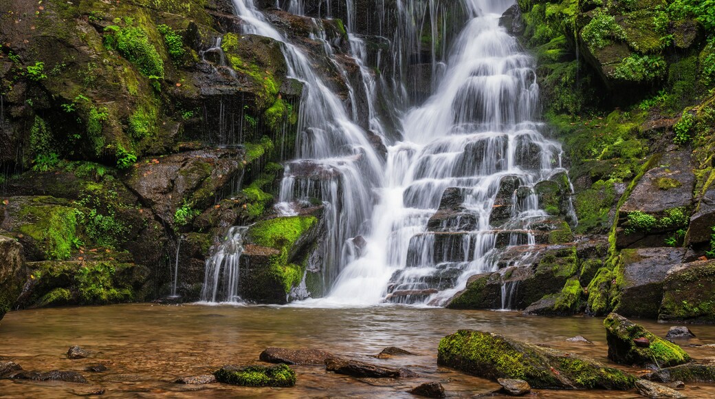 North Carolina Waterfall near Rosman and Brevard - Eastatoe Falls