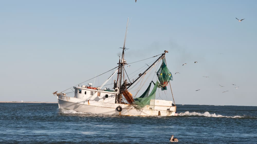 Shrimp Boat with Flock of Sea Gulls