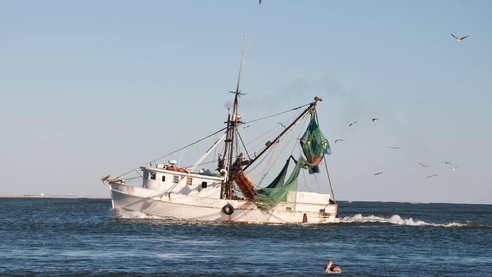 A fishing boat on the water with birds flying around it.