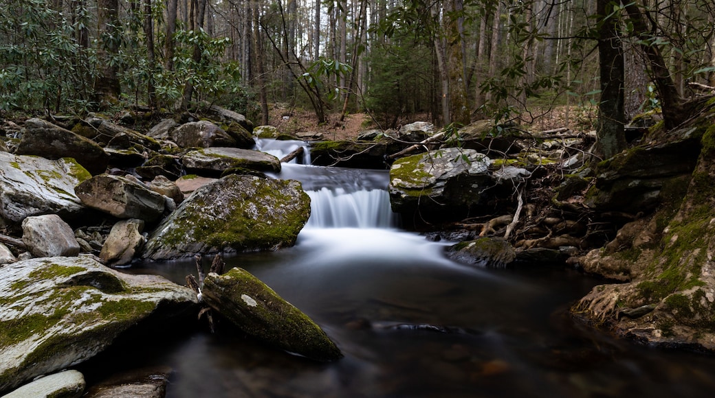 Waterfall on Grassy Creek near the Blue Ridge Parkway in North Carolina