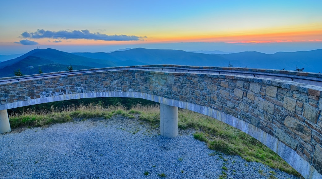 Spruce Pine