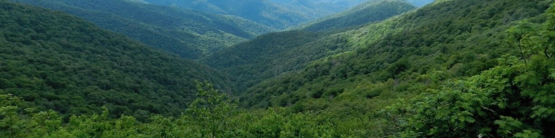 One of many great views seen along the Blue Ridge Parkway during our road trip. #AboveItAll